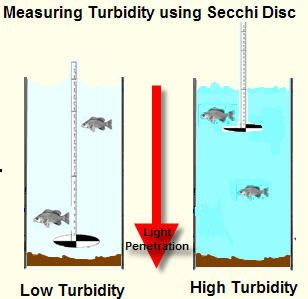 Water Turbidity Chart